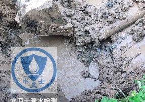 乐清水管漏水检测公司5